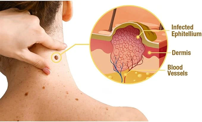 Bee Cream – Pure Original Blend