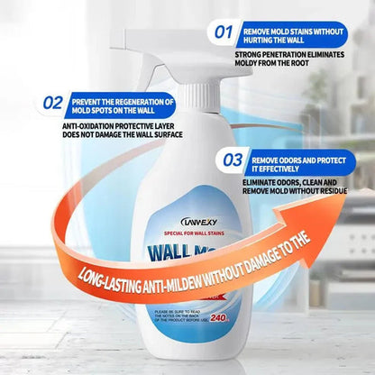 Highly Effective Mould Removal Spray