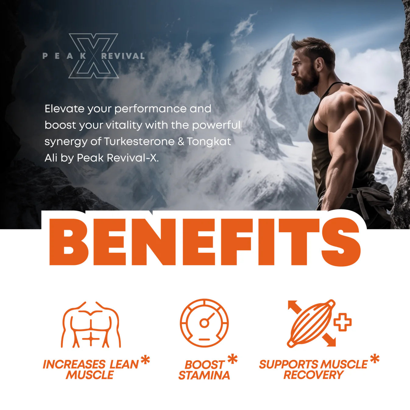 Turkesterone & Tongkat Ali by Peak X Revival