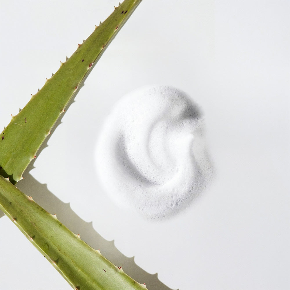 Milky Oil Foaming Cleanser