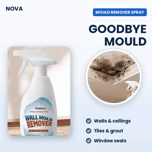 Highly Effective Mould Removal Spray
